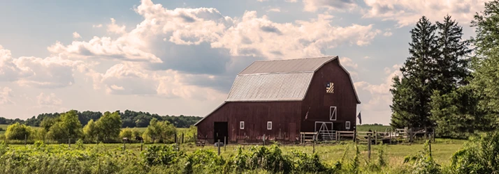 The Chiropractic Wellness Center in Wisconsin